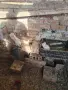 Свободни Гълъби Яканлии, снимка 7