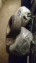 4 Летни гуми DAYTON 205/55 R16 91V, снимка 2