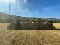 Ролонни бали сено, снимка 8