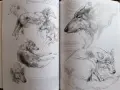 Рисуване на животни , снимка 5