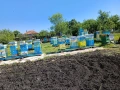 пчелни семейства със кошерите, снимка 4