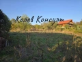 Къща село Райново, снимка 3