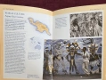 Световен атлас на коренните жители / The Gaia Atlas of First Peoples A Future for the Indigenous Wor, снимка 14