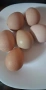 яйца от Токачка , снимка 2