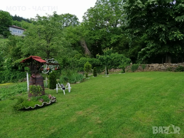 Косене на трева | Рязане на дървета | Почистване | Извозване., снимка 2 - Други почистващи услуги - 54129586