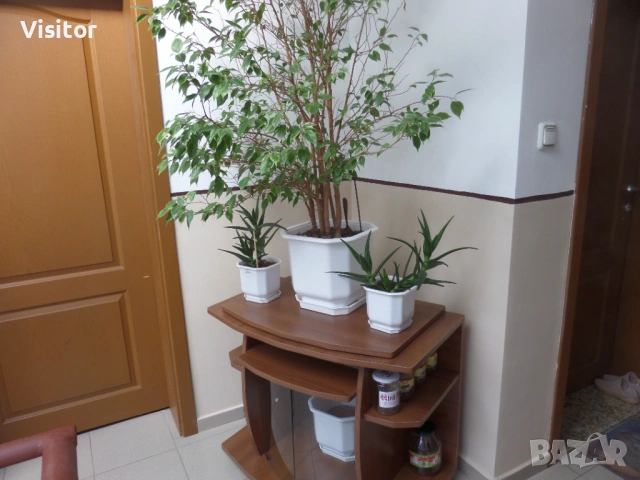 Samsung WB250F  14 мрХ, снимка 18 - Фотоапарати - 54186826