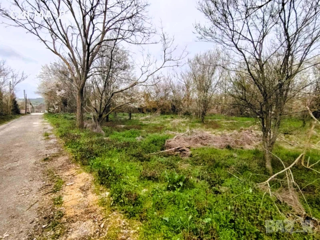 Двуетажна къща с голям двор в с. Красен! , снимка 3 - Къщи - 54218103