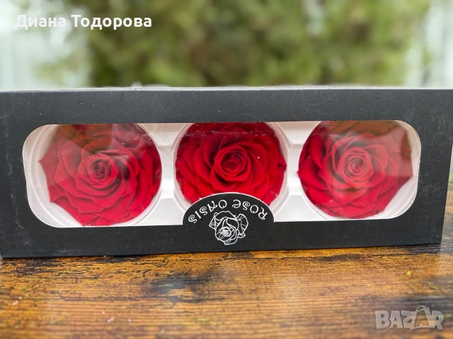 Вечни рози главички 8 см, снимка 2 - Декорация за дома - 55159129