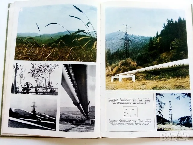 Фотоалбум " Шелковый цветок "  - 1973г., снимка 9 - Изкуство, музика, кино и фотография - 55602587