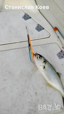 воблери за морски рибилов Глайдер 160, снимка 10 - Такъми - 54358104