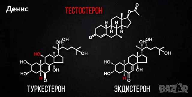 Екдистерон 3000, снимка 2 - Хранителни добавки - 55601239