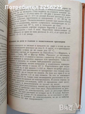 Справочник по зеленчуко - производство, снимка 4 - Специализирана литература - 54763472