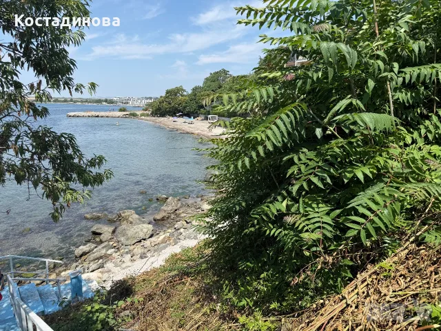 Нощувки в апартамент на частен плаж в гора с голям и малък басейн, снимка 3 - Почивки на море - 55352511