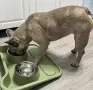 Купи за хранене на домашни любимци, снимка 3