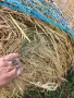 Продавам ролонни бали, снимка 7