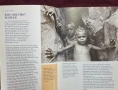 Световен атлас на коренните жители / The Gaia Atlas of First Peoples A Future for the Indigenous Wor, снимка 7