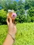 Ръчно изплетени с много любов играчки. , снимка 13