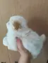 Малки Померани търсят свойте нови домове, снимка 3