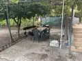 Давам къща под наем Бургас, снимка 9