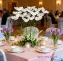 3D бели пеперуди на тел пеперуда pvc за декорация букет цветя торта парти украса декор , снимка 5