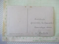 Картичка пощенска "Schmetterlingsjagd." стара, снимка 2