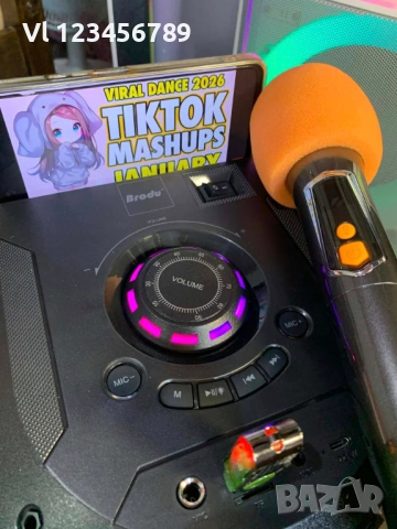 Двойна караоке колона BTS 2238 с Bluetooth 2х6.5“ микрофон и светлини, снимка 8 - Тонколони - 54165218
