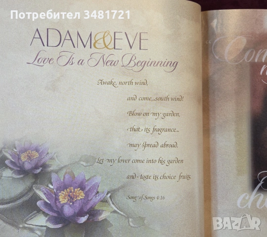 Великите романтични истории на Библията / Love Stories God Told. The Great Romances of the Bible, снимка 4 - Художествена литература - 54244065
