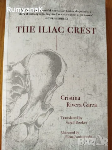 Cristina Rivera Garza - The Iliac Crest