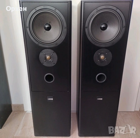 Canton Fonum 501 – Качествени немски тонколони (Hi-Fi), снимка 2 - Тонколони - 53704872