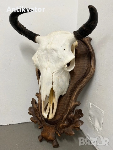 Трофей от бизон с дърворезбована поставка, снимка 2 - Декорация за дома - 54346300