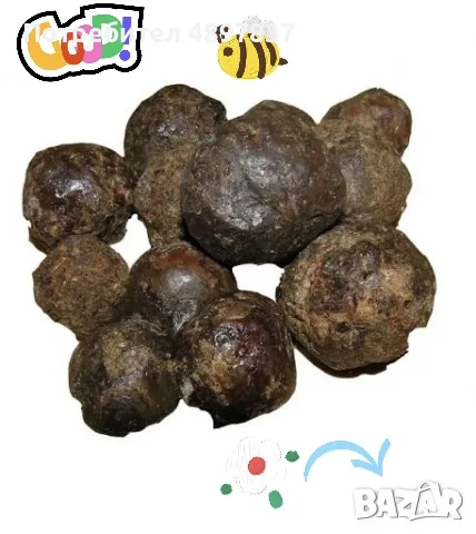 Пчелен Прополис Клей от Петрич