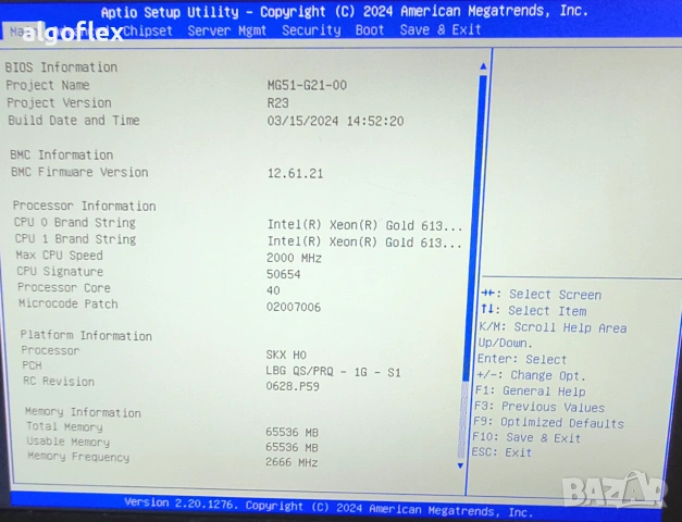 Сървър Gigabyte G291-281 8SFF 2U 2*Gold 6138 64GB 4*Tesla P100/16GB, снимка 11 - Работни компютри - 55188912