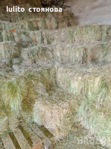 Продавам бали-сено, снимка 2 - За селскостопански - 54543142