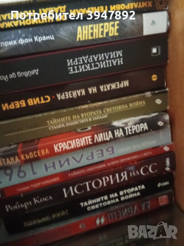 Книги ВСВ Гестапо Аушвиц, снимка 3 - Художествена литература - 54061173