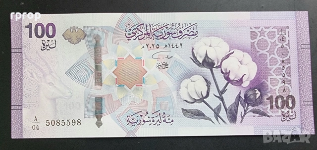 Сирия. 100 паунда. 2025 година.UNC.