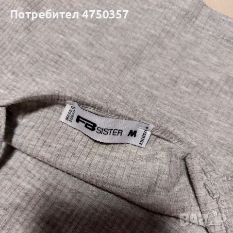 Сиво лятно потниче, снимка 2 - Потници - 55352120