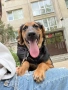 Подарявам , снимка 9