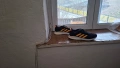 маратонки. adidas syper. nova, снимка 5