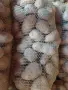 Продавам картофи, снимка 2