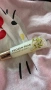 Victoria’s Secret Frozen Pear Flavored Lip Gloss, снимка 1