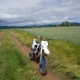 pit bike кросов мотор 125 м³ TelStar , снимка 6
