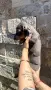 🐾 Мини дакелче – момче търси своето ново семейство! 🐾, снимка 3