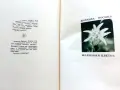 Фотоалбум " Шелковый цветок "  - 1973г., снимка 3