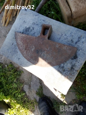 мотика лята