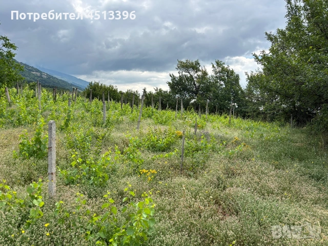 Продавам Лозе, снимка 15 - Парцели - 55010415