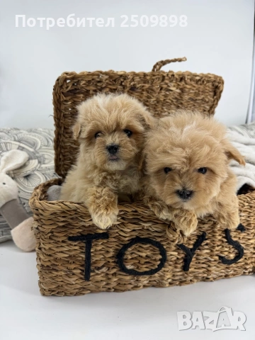 Малтипу микро супер мини, снимка 3 - Други - 54303336