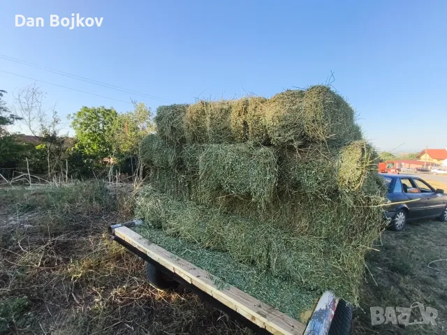 Продавам малки бали люцерна , снимка 3 - Други стоки за животни - 55482932
