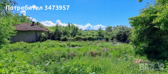 Продава се имот в с.Горно Павликене., снимка 6 - Къщи - 54120989