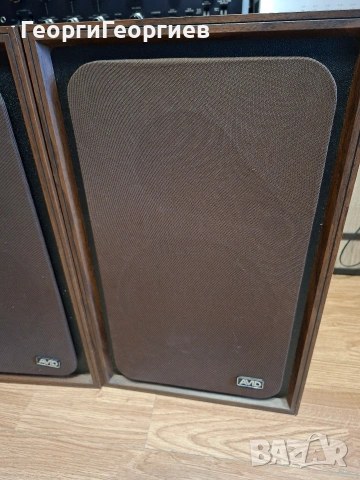 AVID 100, снимка 6 - Тонколони - 54721266
