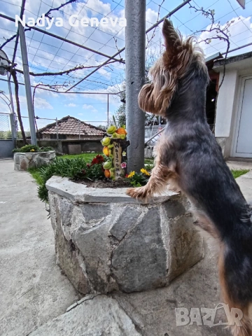 Търсим си партньорка